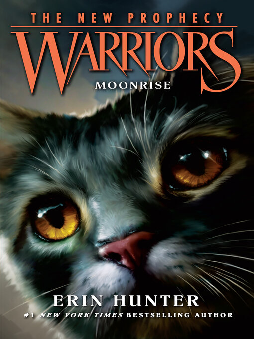 Warrior Cats Audio Books Free Download Warrior Cats Audio Books Free Download